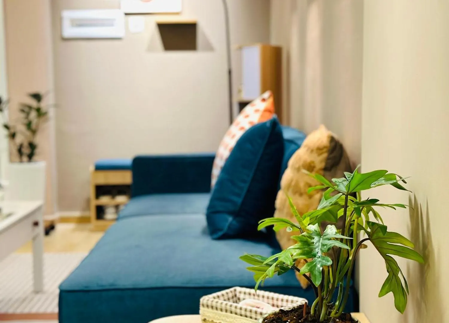 Doha Homes - Central Garden, Trung Tam Quan 1,2 Phong Ngu, 2 Bathroom Ho Chi Minh City 0*,  Vietnam