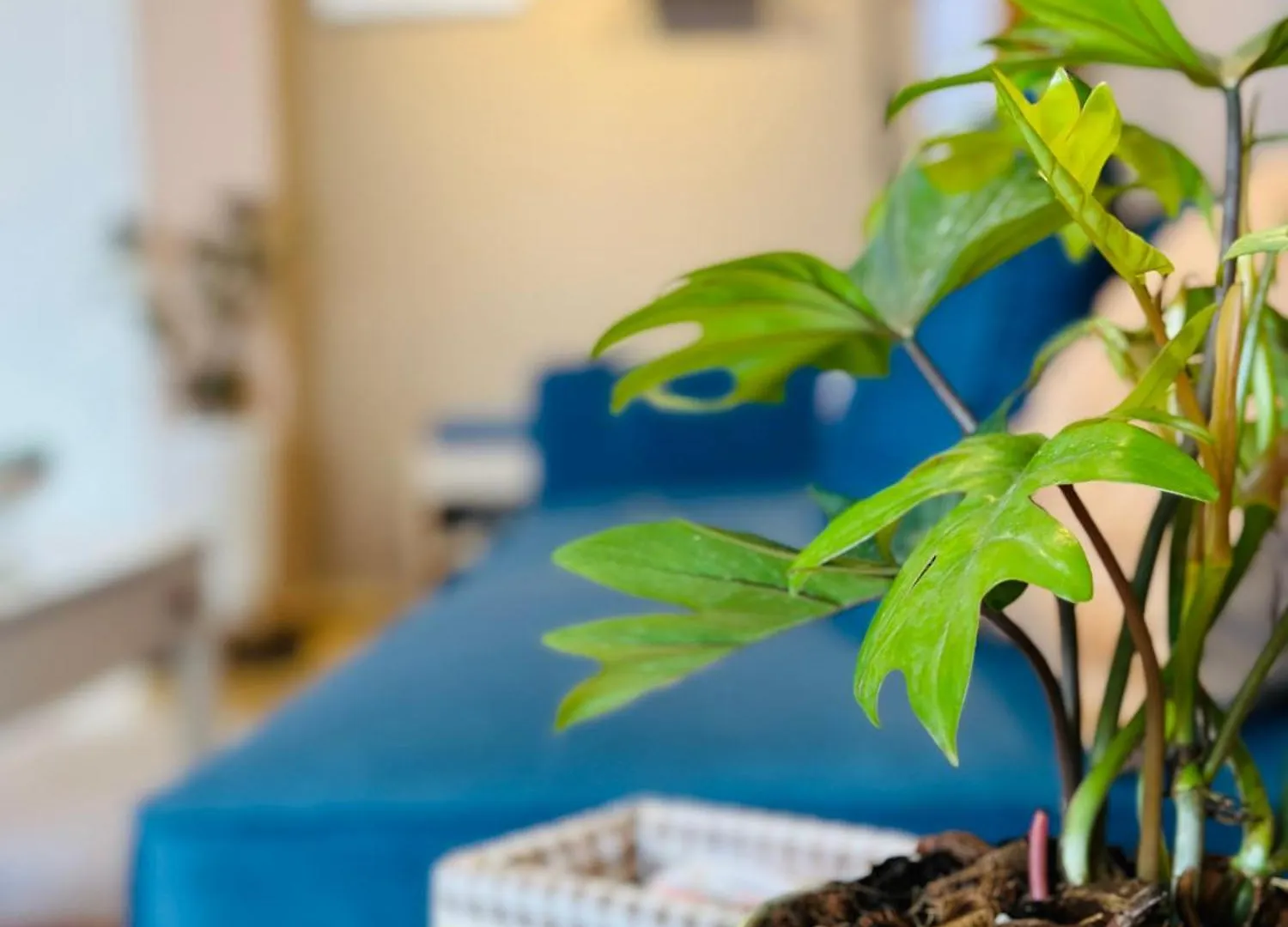 Doha Homes - Central Garden, Trung Tam Quan 1,2 Phong Ngu, 2 Bathroom Ho Chi Minh City Apartment